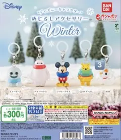 ディズニーキャラクター めじるしアクセサリー winter