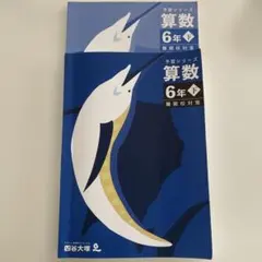 2026年最新】四谷大塚 予習シリーズ 6年 下の人気アイテム - メルカリ