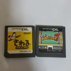 DSカセット 2個セット ワリオ系