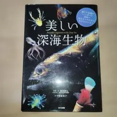 美しい深海生物 中野愛美子