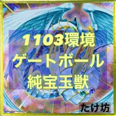 遊戯王 寄生虫パラサイト パラレル PSA9 - メルカリ