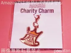 n*i様 嵐 Beautiful World ARASHI チャリティーチャーム