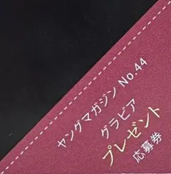 ヤングマガジン 44号 グラビアプレゼント応募券 1枚