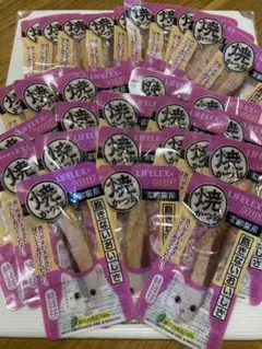 Item thumbnail for item e7feb2d4-e69b-4569-b038-f127c54e7d6d