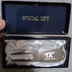 つくばエクスプレス TX グリーンフォーク