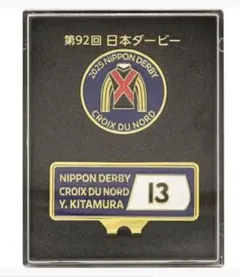 Item thumbnail for item c360025e-684a-4139-a2f7-9afde8e75706