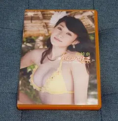 グラビア バラエティ