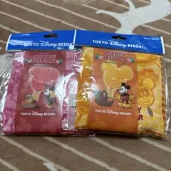 ミッキーアイスバー　ミニタオル　ディズニーランド限定