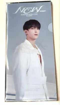 SEVENTEEN ライブビューイング　特典 チケットホルダー DK ドギョム