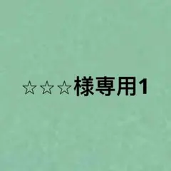 ⭐︎⭐︎⭐︎様専用1