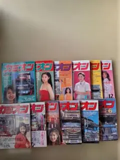 Item thumbnail for item 1b218670-8247-4f44-8874-fc9cdc273a96