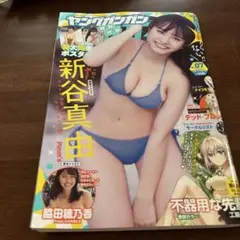 Item thumbnail for item 92670669-aeaa-4a4b-acf7-0b355240a0ab