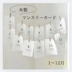 Item thumbnail for item 64b3eecf-58c3-49fc-bfc0-a73d8d4105e3