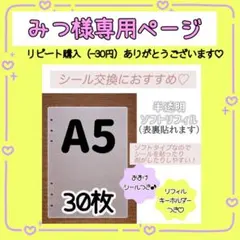みつ様専用ページ【リピート購入（-30円）ありがとうございます♡】