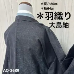 AK-2689 本場大島紬 羽織り 横双 正絹　着物
