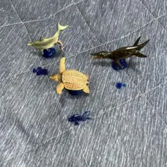 海洋堂 カプセルQミュージアム 海洋生物 フィギュア 3種セット