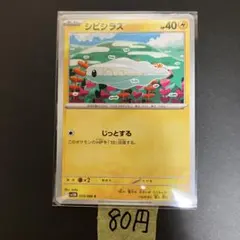 【シビシラス 】まとめ買い一枚80円（残り１枚）
