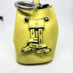 ☆希少色☆FENDI セレリア コインケース キーリング付き ターコイズ