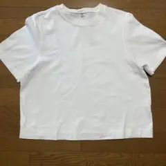 ⭐️美品⭐️UNIQLOユニクロ　クロップドクルーネック半袖TシャツL