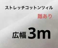 Item thumbnail for item 2bee147a-c41d-4d1c-81a9-98a6901bad4b