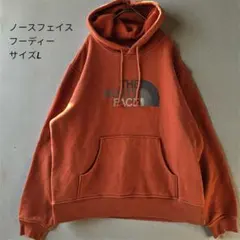 【希少】ノースフェイス A5シリーズ ビッグロゴ パーカー L レンガ色 訳あり