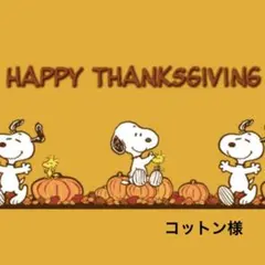 コットン様 リクエスト 4点 まとめ商品