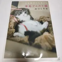 うちのコにしたい! 羊毛フェルト猫のつくり方 Hinali