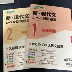 新・現代文レベル別問題集①超基礎編、②初級編