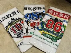 履正社高校 野球部 応援タオル 2枚と甲子園出場記念の土 - メルカリ