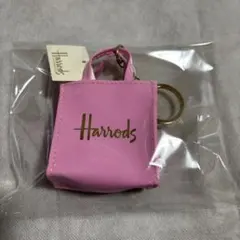 Item thumbnail for item 5261bafc-cccb-4c89-80f7-b0112791825a