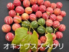 Neco Deco(ФωФ)様 リクエスト 3点 まとめ商品