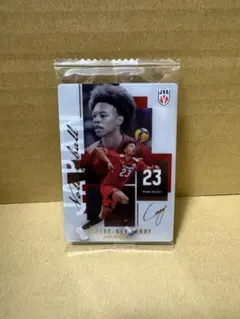 エバデダン ラリー バレーボール 日本代表 トレーディングカード