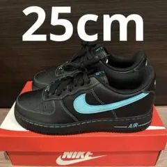 Nike Air Force 1 Lowブラックティファニー25cm鑑定済正規品