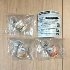 日清カップヌードル めじるしアクセサリー　チャーム　カレー　トムヤムクン　ラクサ