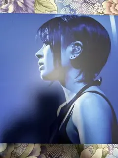 値下げ中 美品 宇多田ヒカル DVD完全生産限定盤（ナンバリング入り
