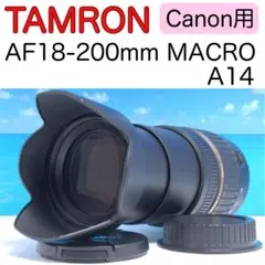 Item thumbnail for item 6016ba95-6ca9-4770-94ef-3d74e99f40b7