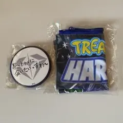 TREASURE カプセルトイ 缶バッジ ポーチ ハルト