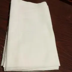 Item thumbnail for item f71af136-56b0-45f9-b4a9-ee2f67f39d9b