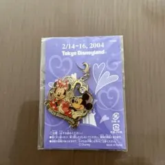ディズニーランド2004 ファスナーチャーム