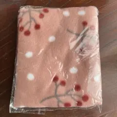 Item thumbnail for item 540e1dd6-8c78-4c6b-8b9b-aa13aec8fb25