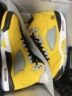 Nike Air Jordan 5 Retro 