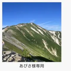 あびさ様専用ページ