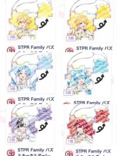 STPR Family Thanks Partyくじパズルキーホルダー ころん - メルカリ