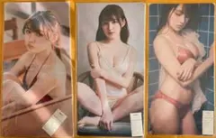 Item thumbnail for item 4e458336-bb4f-455c-9a5e-9c7e560ed95b