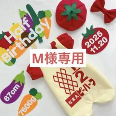 【3/10発送】M様専用