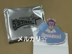 ① straykids スキズ ランダムネームバッチ　バッジ チャンビン