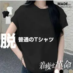【美品】ダークエンジェル　着痩せTシャツ　肩タック袖　ブラック　FREEサイズ