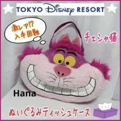 激レア ディズニーリゾート限定 不思議の国のアリス チェシャ猫 ティッシュケース