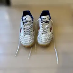 Item thumbnail for item d2d72bee-7fe2-43a8-9f38-971f15480141