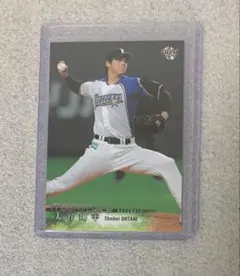 大谷翔平 Owners League 2014 SHOHEI OHTANI - メルカリ